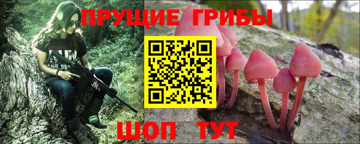 Галлюциногенные грибы Psilocybe Владикавказ