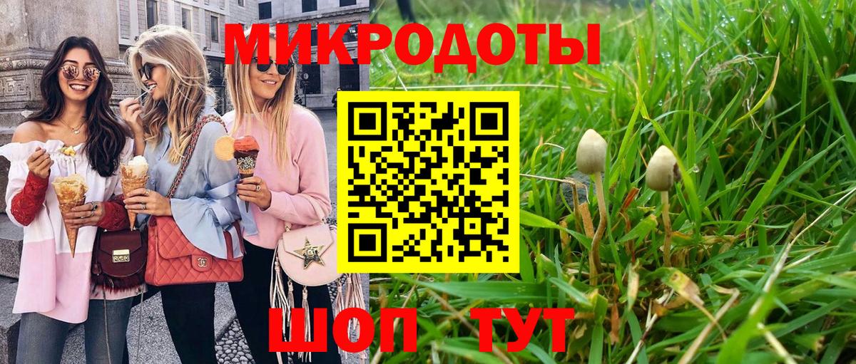 Владикавказ  Псилоцибиновые грибы мицелий  Вход с VPN 